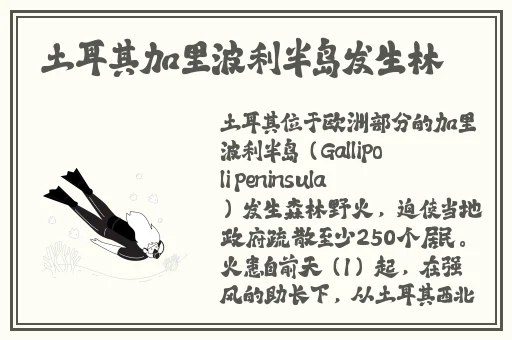 md传媒网页版